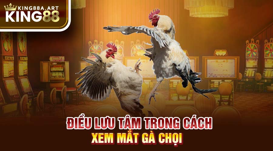 Điều lưu tâm trong cách xem mắt gà chọi