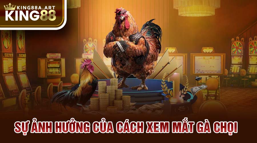 Sự ảnh hưởng của cách xem mắt gà chọi