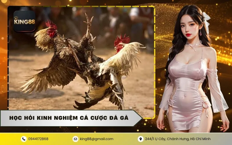 Học Hỏi Kinh Nghiệm Cá Cược Đá Gà