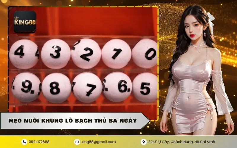 Mẹo Nuôi Khung Lô Bạch Thủ Ba Ngày