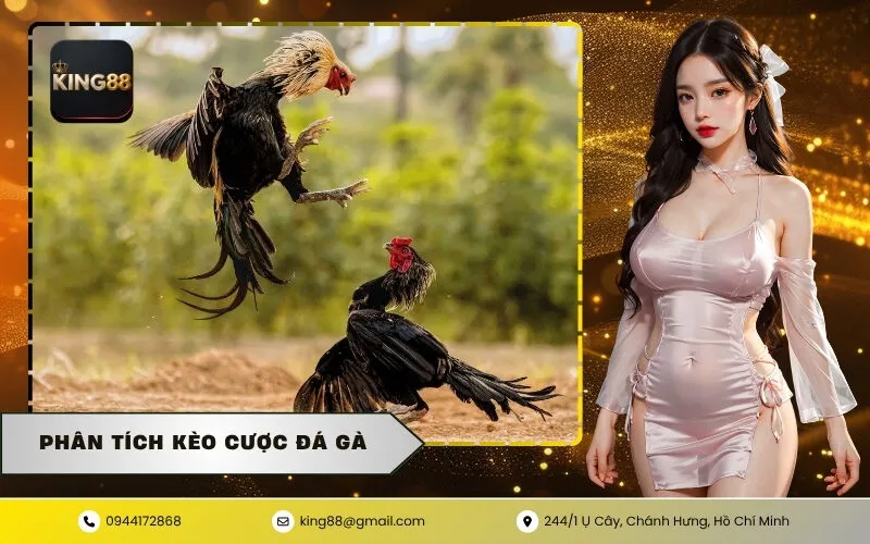 Phân Tích Kèo Cược Đá Gà