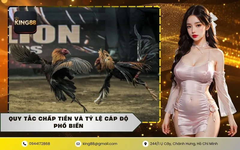 Quy tắc chấp tiền và tỷ lệ cáp độ phổ biến