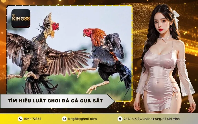 Tìm Hiểu Luật Chơi Đá Gà Cựa Sắt