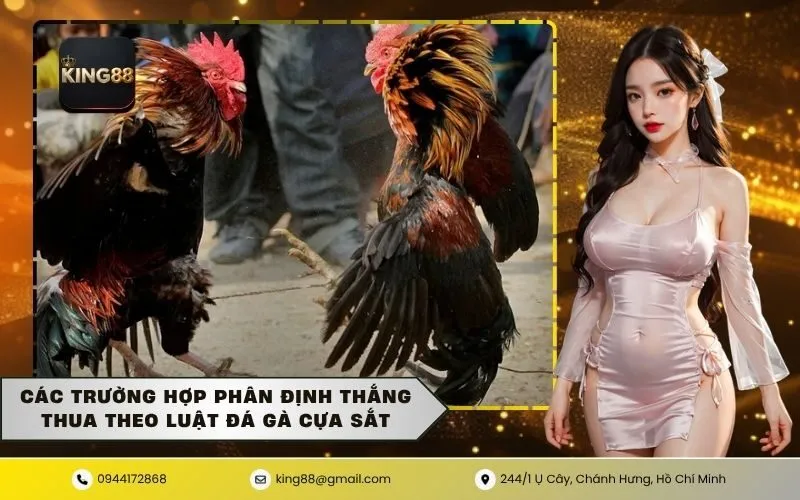 Các trường hợp phân định thắng thua theo luật đá gà cựa sắt