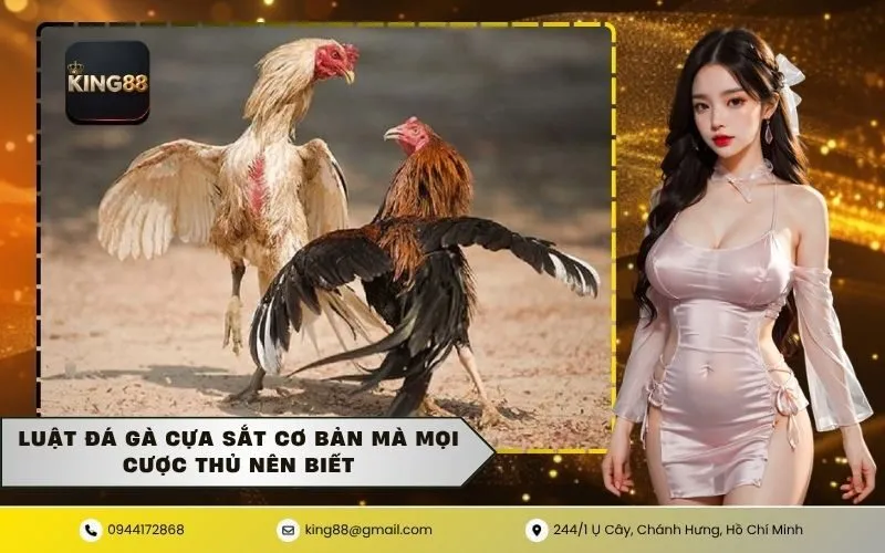 Luật Đá Gà Cựa Sắt