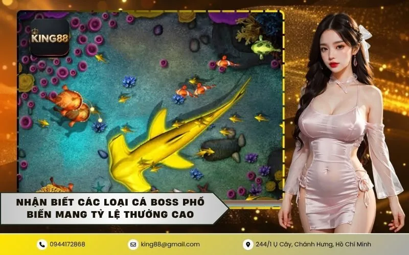 Nhận biết các loại cá boss phổ biến mang tỷ lệ thưởng cao