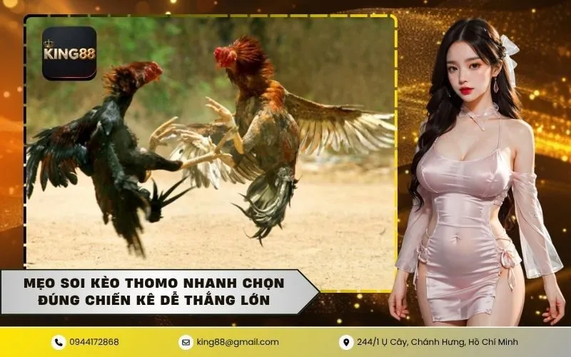 Soi Kèo Thomo